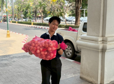 วันที่ 31 มีนาคม 2569 นายเชษฐา ไพศาล ... พารามิเตอร์รูปภาพ 4